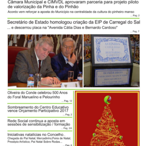 Uvas e Romãs Nº 13