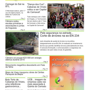 Uvas e Romãs n.º 6