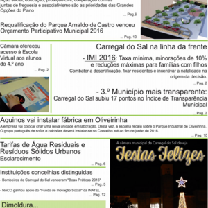  Uvas e Romãs n.º 9