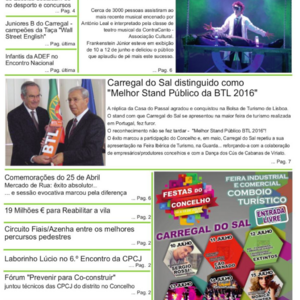 Uvas e Romãs nº 11