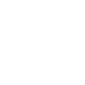 Balanço Social 2025