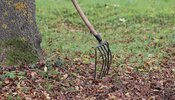gardening_equipment_4608627_1920