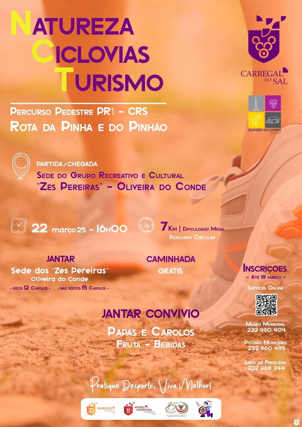 Rota da Pinha e do Pinhão e Festival Papas e Carolos de mãos dadas no desafio “Natureza, Ciclovia...