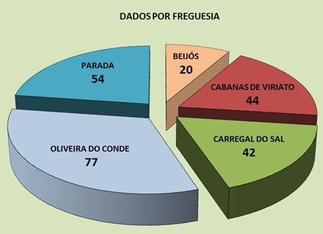 237 ninhos de vespa asiática detetados no Concelho, em 2020