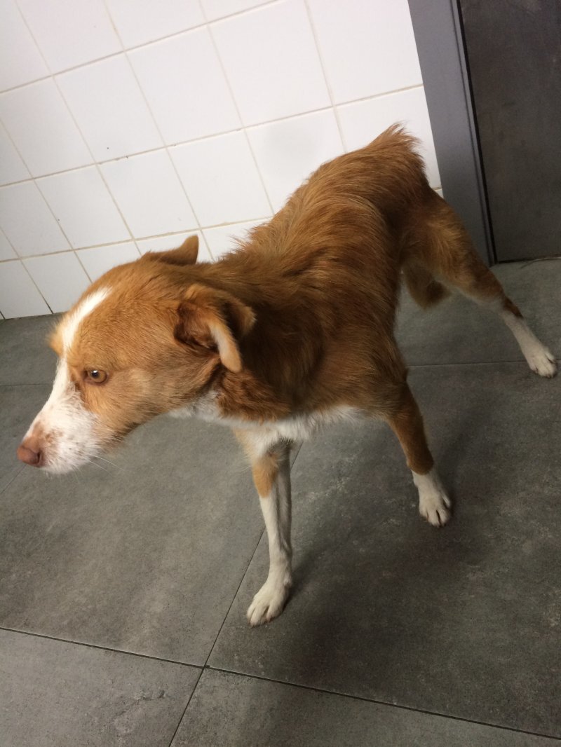 Procura-se o seu detentor ou novo detentor