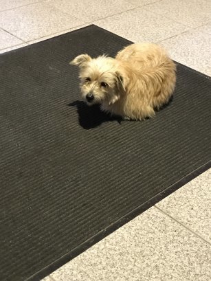 Procura-se Detentor ou novo Detentor