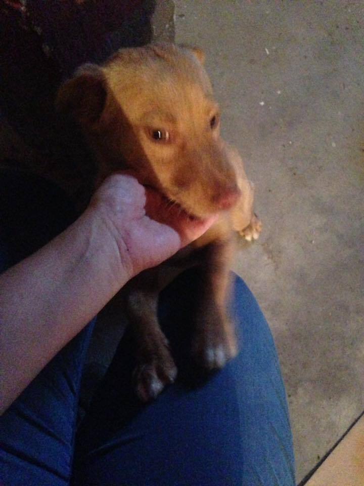 Procura-se o detentor! DETENTOR ENCONTRADO!