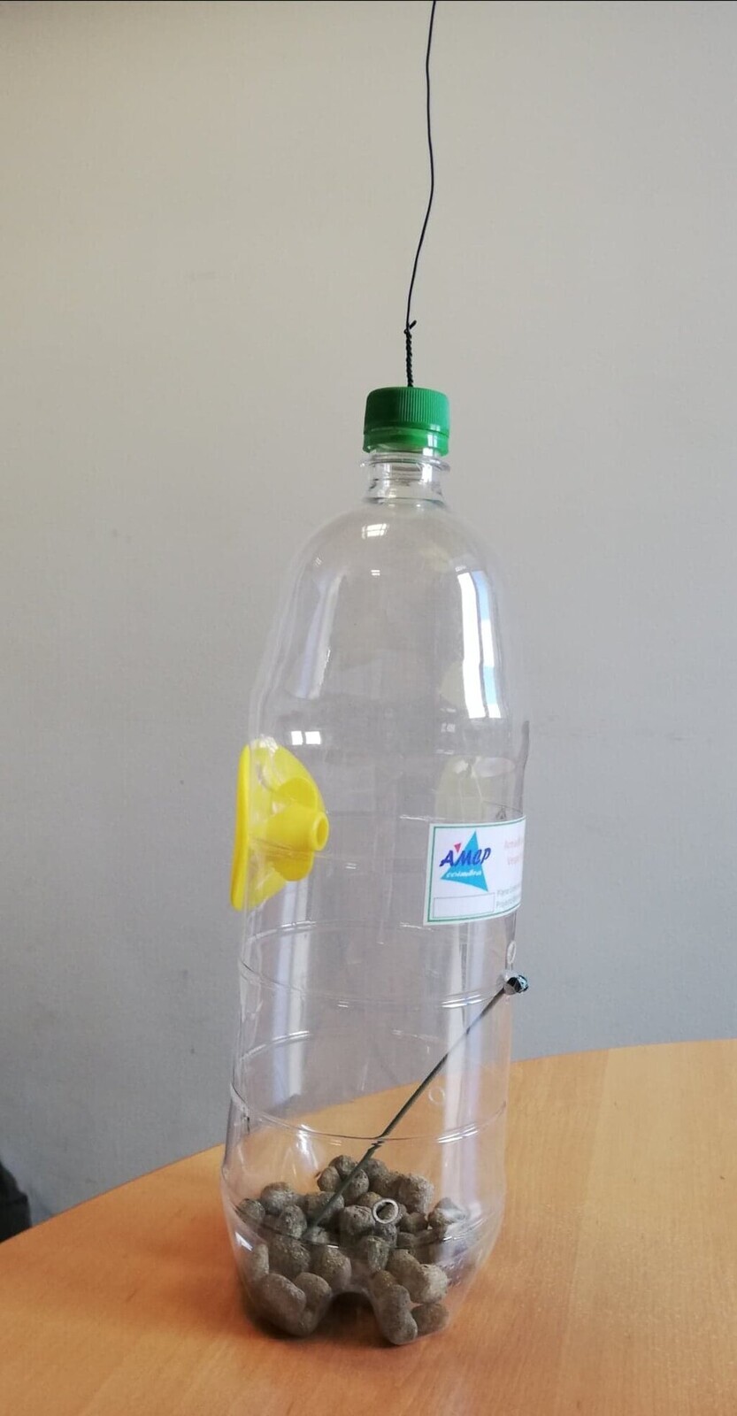 Captura de vespas asiáticas