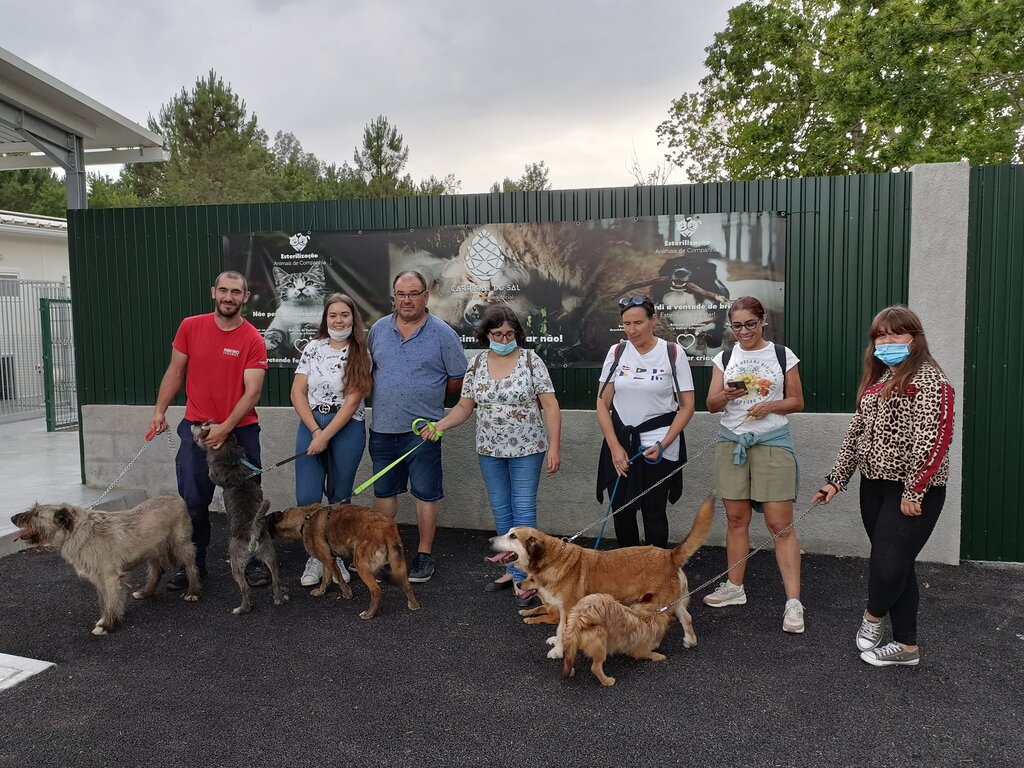 Hora do Passeio de Fim de Semana