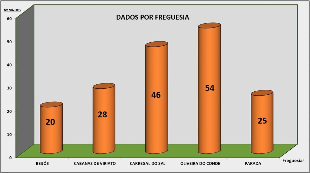 173 ninhos de vespa asiática detetados e eliminados em 2022 no Concelho