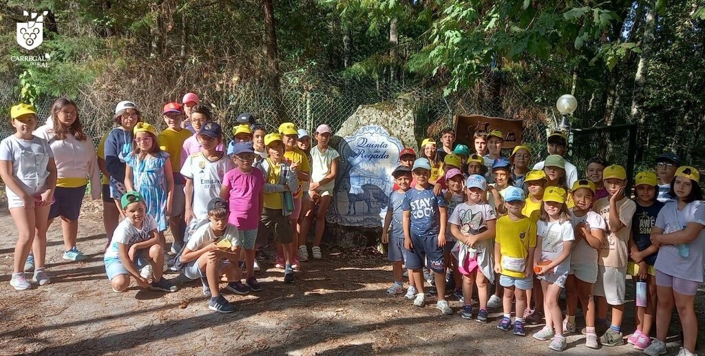 Férias desportivas 2024 chega ao fim após um mês intenso de atividades