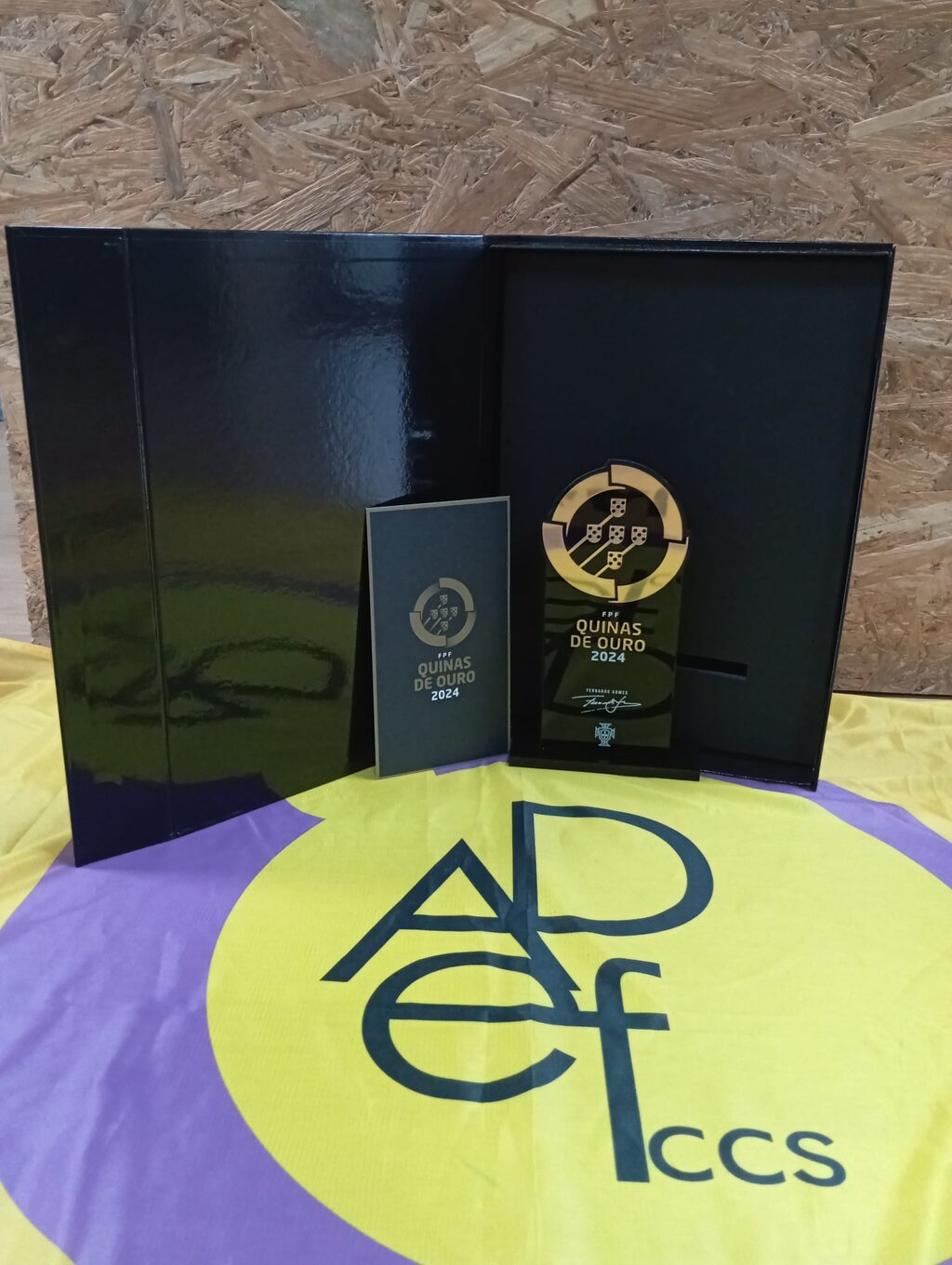 ADEF-CCS premiada com “Quinas de Ouro”  