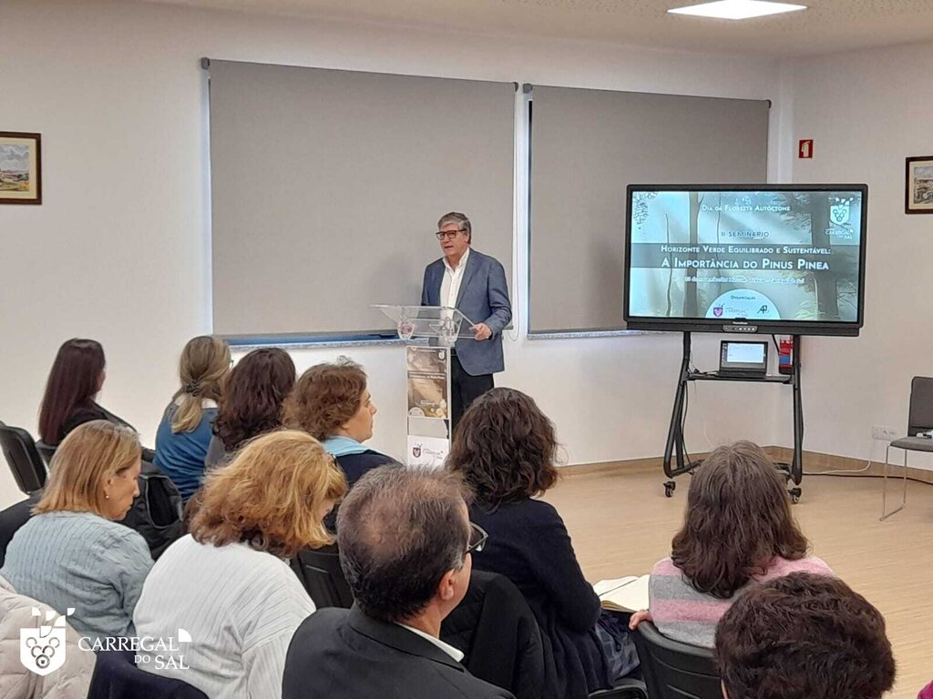 A importância do Pinheiro Manso