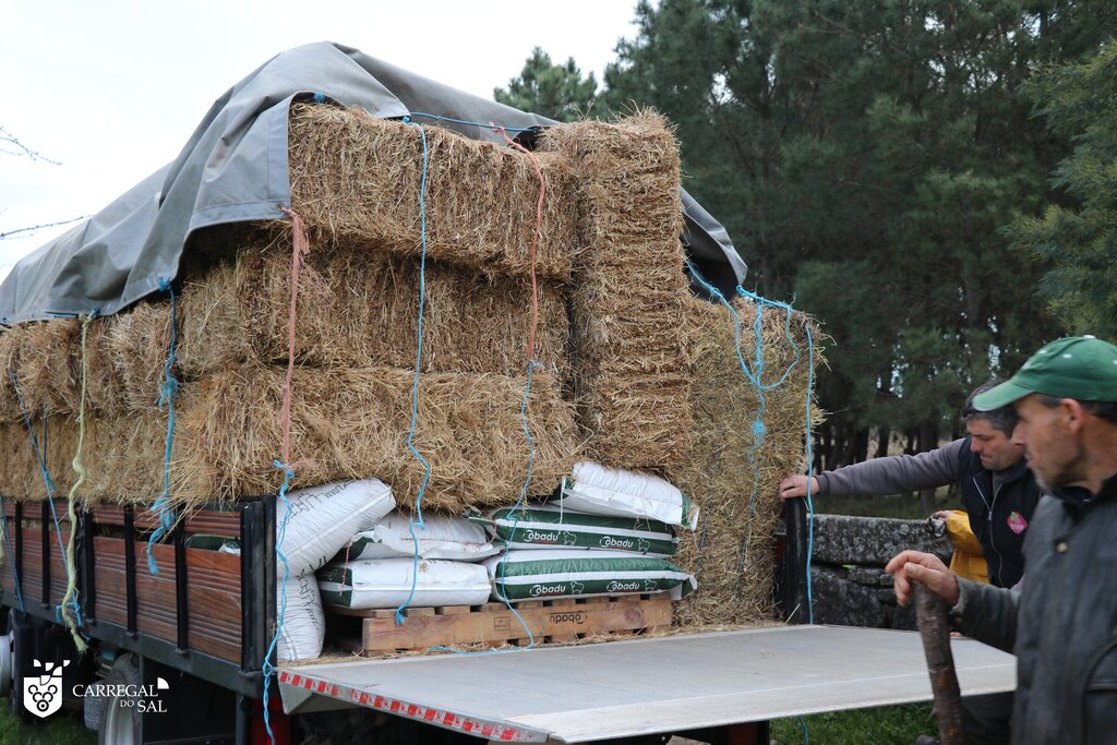 Município distribuiu fardos de palha e rações para animais