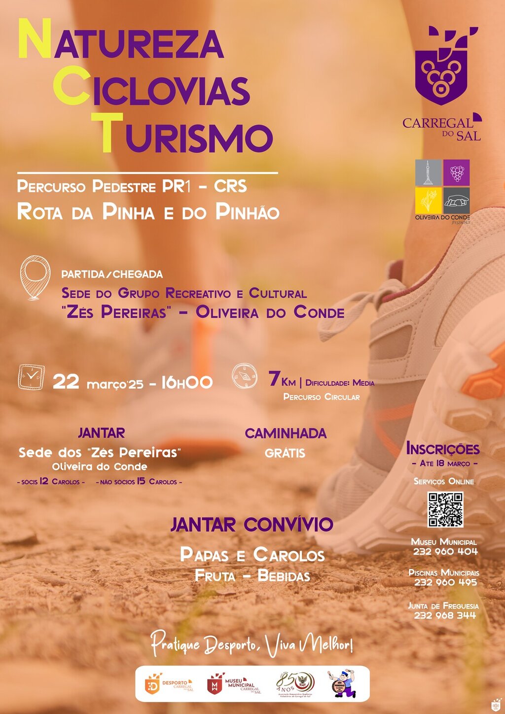 Rota da Pinha e do Pinhão e Festival Papas e Carolos de mãos dadas no desafio “Natureza, Ciclovia...