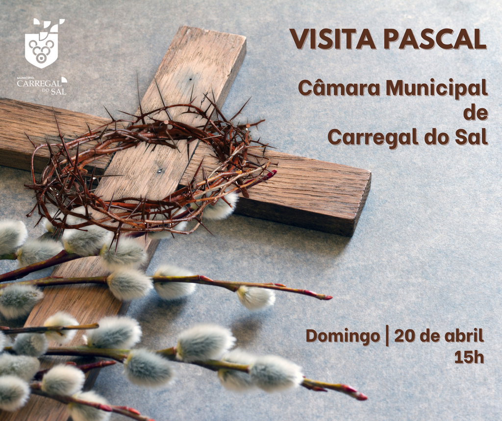 Visita Pascal | Câmara Municipal