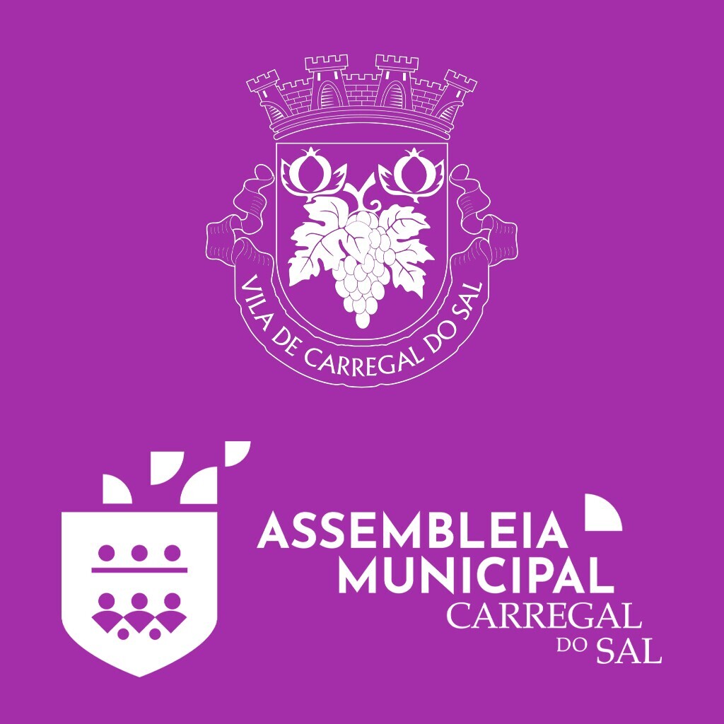  Transmissão em direto da Assembleia Municipal