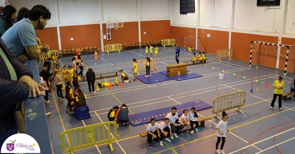 Duas centenas de crianças no Andebol4Kids em Carregal do Sal