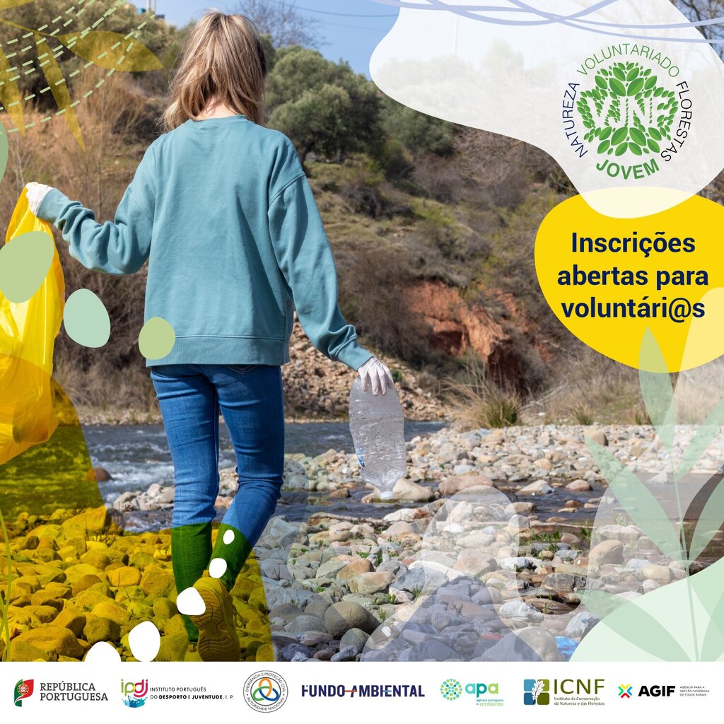 Programa Voluntariado Jovem para a Natureza e Florestas 2025