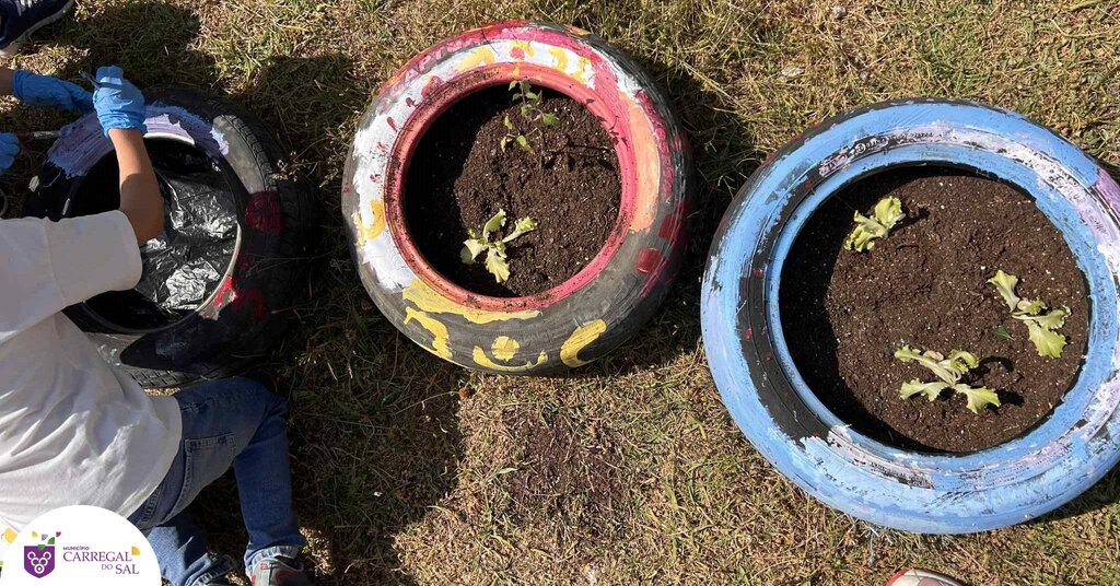 Alunos do 3.º ano dinamizam hortas escolares