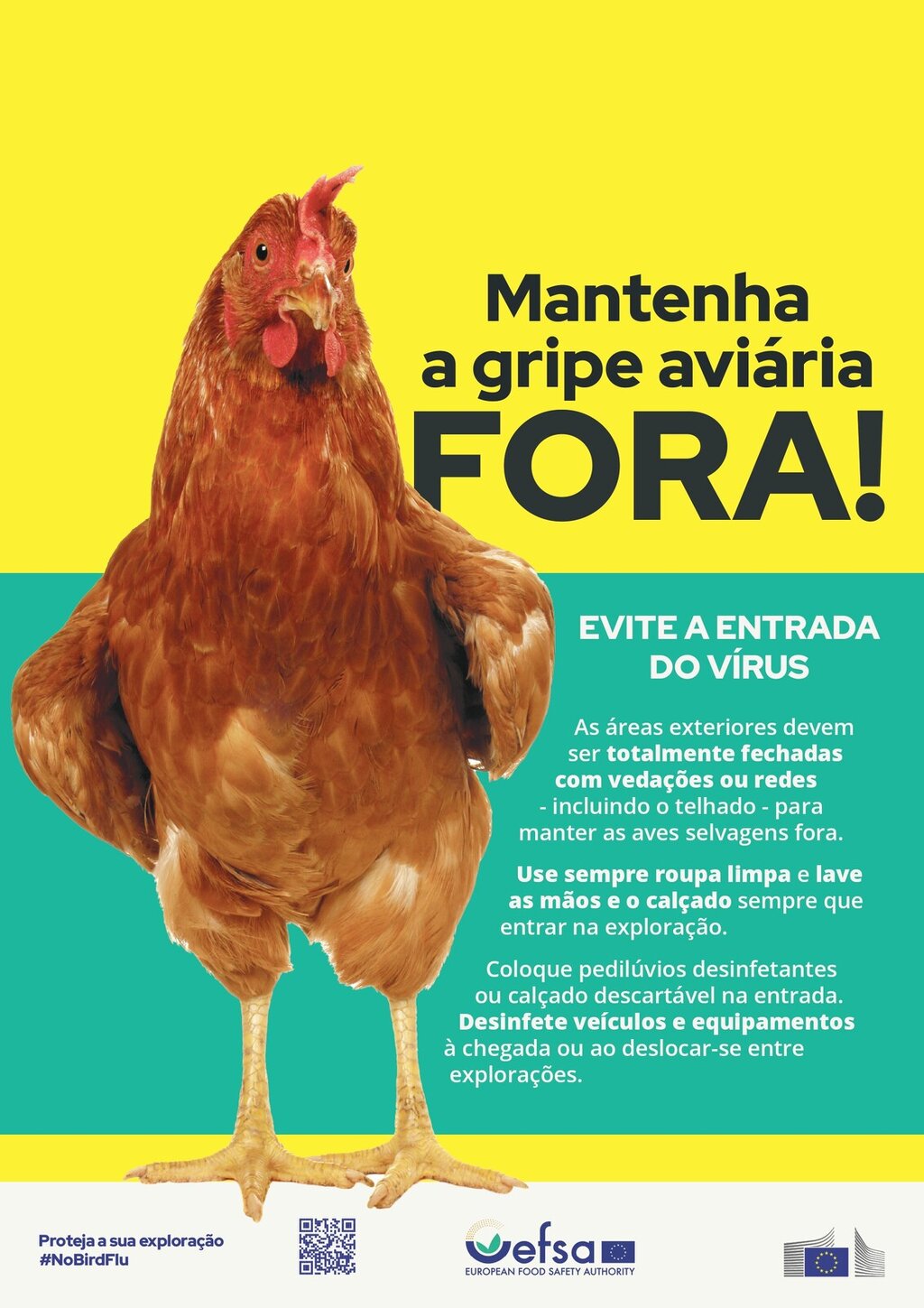 Prevenção da Gripe Aviária