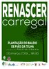 Renascer Carregal - Fiais da Telha