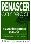 planta&ccedil;ao do baldio de bijos